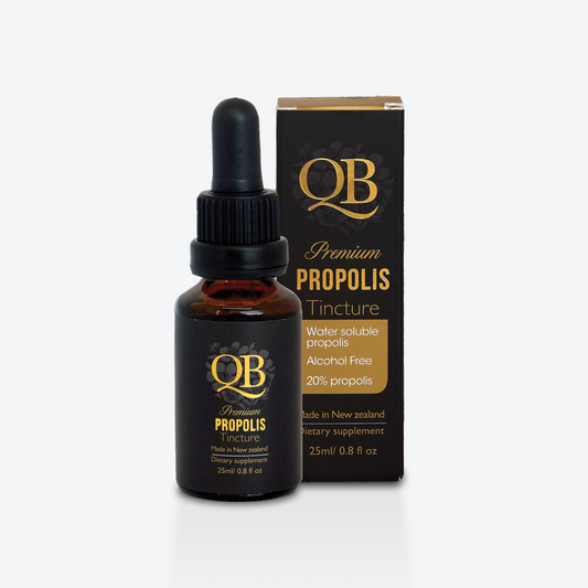 QB 프리미엄 프로폴리스 팅처 25ml